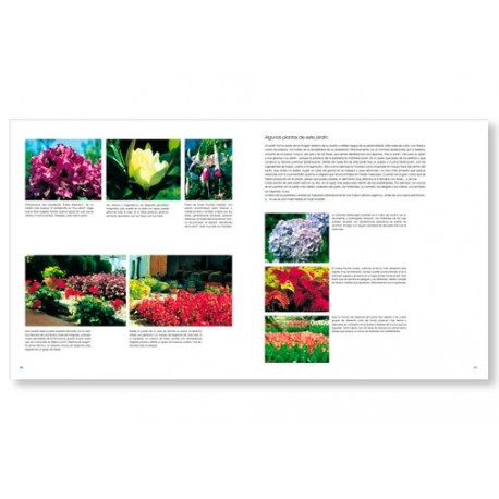 MANUAL DE DISEÑO DE JARDINES