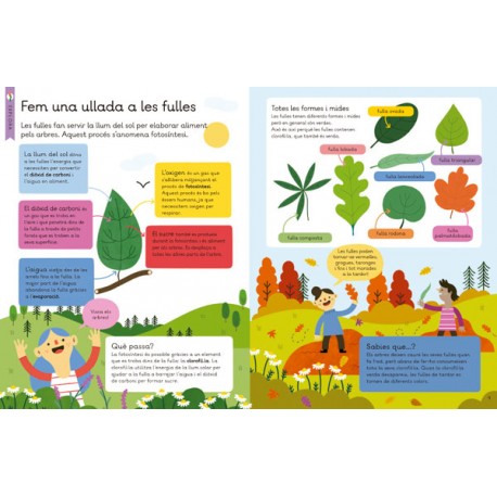 El Nostre Planeta. ARBRES