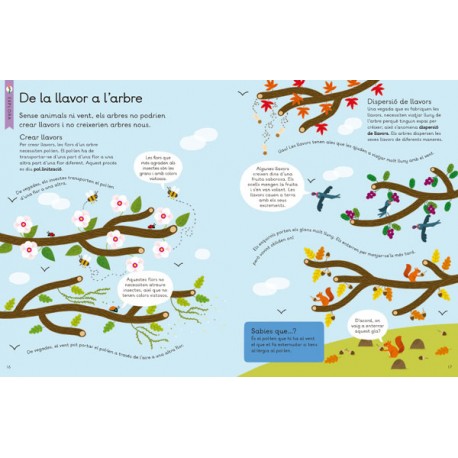 El Nostre Planeta. ARBRES