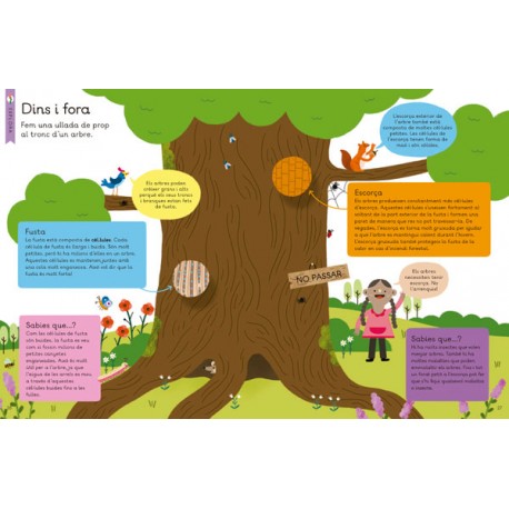 El Nostre Planeta. ARBRES